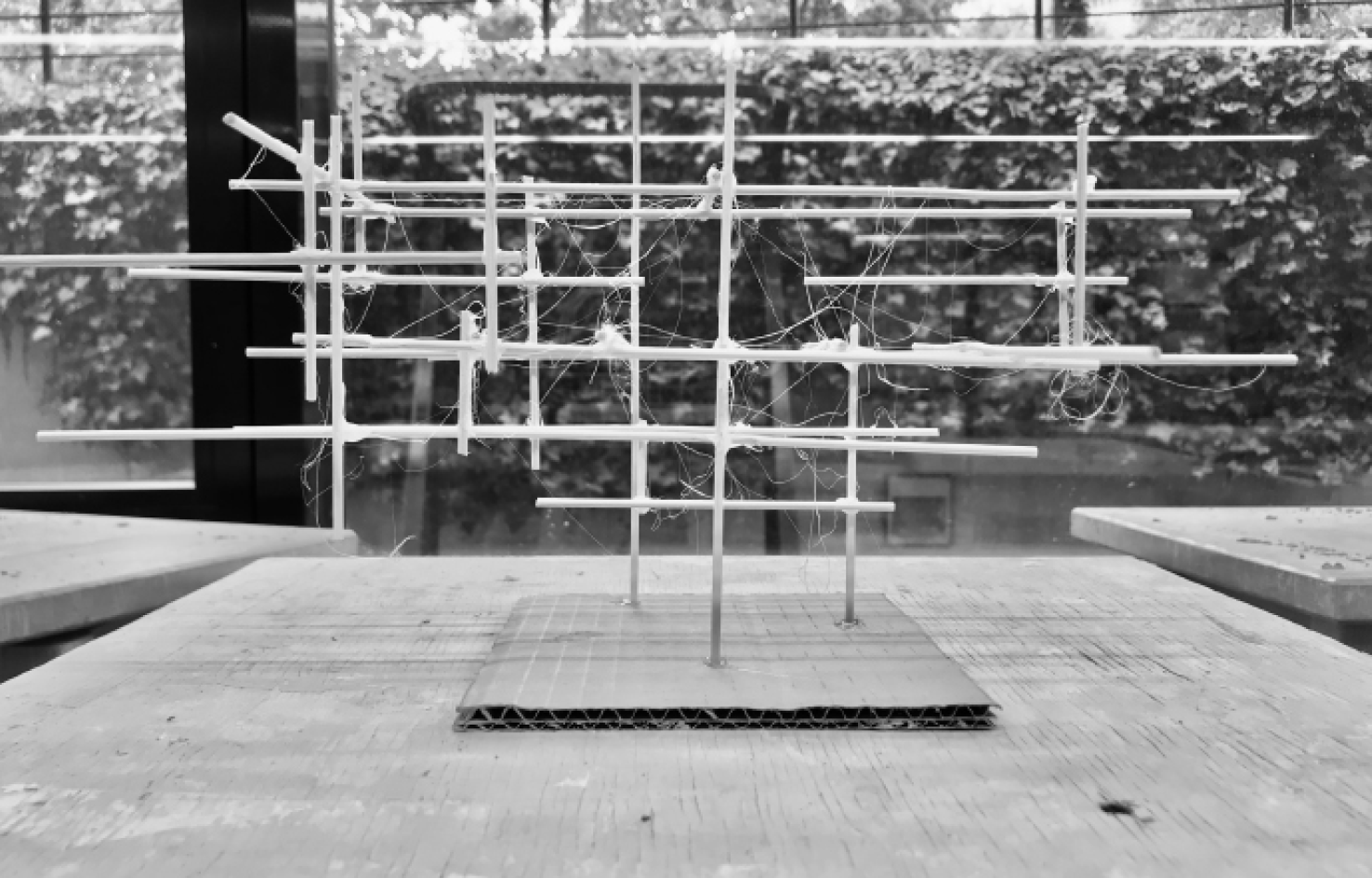 Sculptural tree abstraction